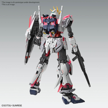 Load image into Gallery viewer, MG 1/100 NARRATIVE GUNDAM C-PACKS Ver.Ka
