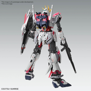 MG 1/100 NARRATIVE GUNDAM C-PACKS Ver.Ka