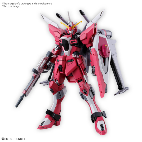 HG 1/144 INFINITE JUSTICE GUNDAM  [TYPE2]