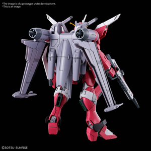 HG 1/144 INFINITE JUSTICE GUNDAM  [TYPE2]