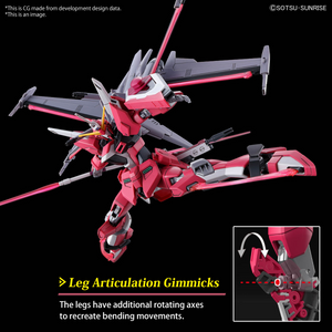 HG 1/144 INFINITE JUSTICE GUNDAM  [TYPE2]