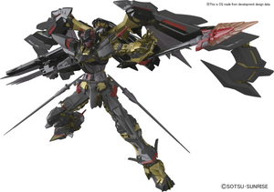 RG 1\144 ASTRAY GOLD FRAME AMATSU MINA